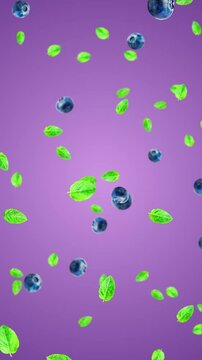 blueberry and mint leaf falling on red background animation, mojito cold fresh summer drink and cosmetics vertical social media motion background