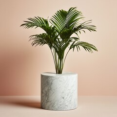 Obraz premium Elegant Indoor Plant in Stylish Marble Pot on Soft Background