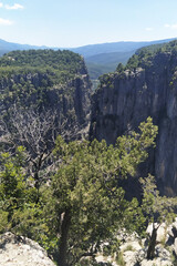 Majestic cliffs surrounded by lush greenery and distant mountains under a clear blue sky, showcasing the beauty of nature and the concept of excursions to the picturesque Konyon in Turkey