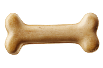 Dog bone for chewing, teeth strengthening and entertainment. Transparent bottom