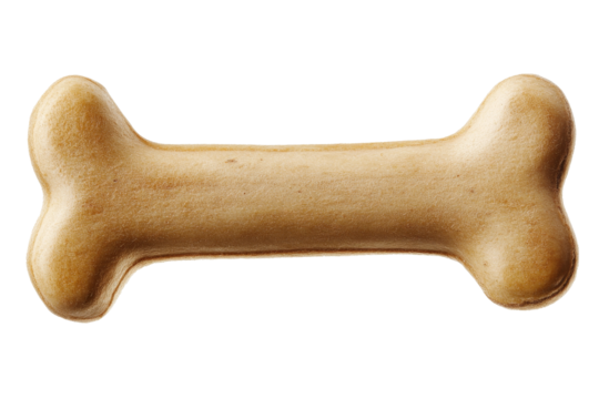 Dog bone for chewing, teeth strengthening and entertainment. Transparent bottom - Powered by Adobe