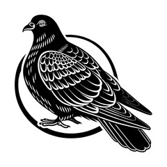 dove of peace