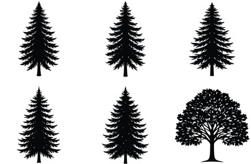 Fototapeta premium A vector set features green tree and fir silhouettes, isolated illustrations perfect for nature and holiday designs