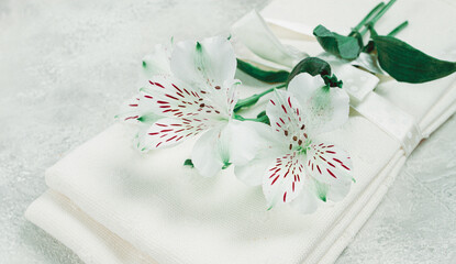 kitchen towels, cream color, with alstroemeria, Peruvian lily, top view, concept, decor, no people,