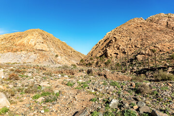 Canyn Barranco de las Penas, Fuerteventura, Canary Islands, Spain, Europe.