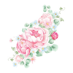 Watercolor Peonies, Png clipart, Peony flowers clipart, Romantic, Spring floral clipart, Wedding invite card, Blush Peony, Pink