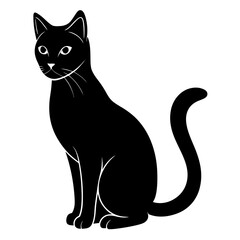 black cat silhouette  on white  background