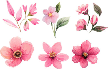 collage of flowers