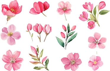 seamless pattern with pink flowers