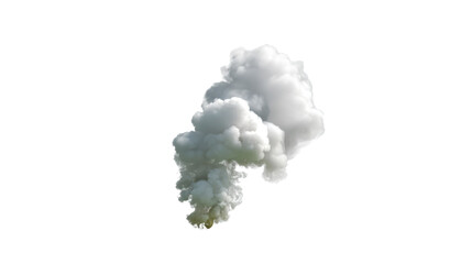Smoke Cloud: A billowing cloud of smoke ascends, offering a study in texture and form, evoking a sense of mystery and drama.