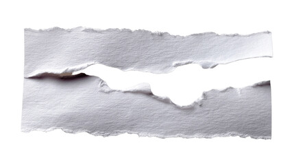 Torn Paper Fragment: A close-up captures a single piece of torn paper, revealing a rough, textured edge and a sense of raw transition or alteration.