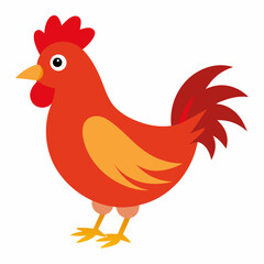 Hen Vector Illustration on White Background