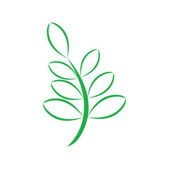 moringa leaves icon vector illustration template design