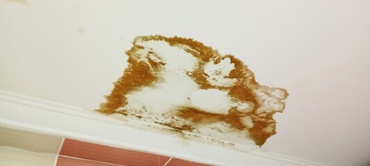 water and moisture damage damaged room ceiling.damaged and stained interior ceiling due to water leak.stained bathroom ceiling