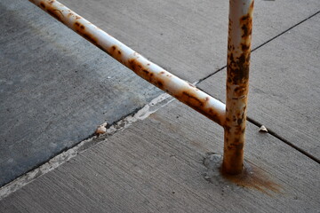 Rusted railing on public building.