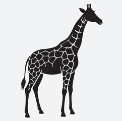 Fototapeta premium giraffe silhouette vector art illustration, giraffe vector illustration