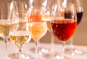 A close-up of elegant glasses with alcoholic beverages. Cups with colorful sparkling wines from different grape varieties. Champagne goblets in the sunlight.