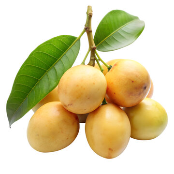 Mangaba fruit isolated on transparent background 
