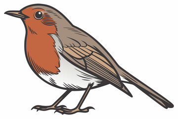 robin on a branch