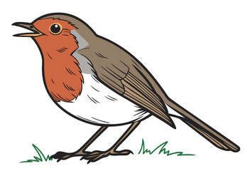 robin on a branch