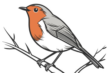 bird on a branch