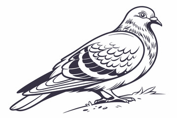 dove of peace