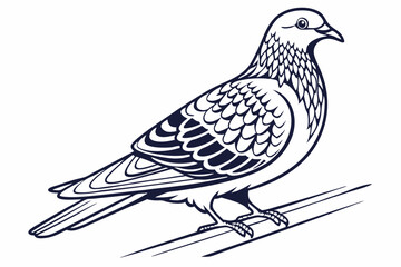 dove of peace