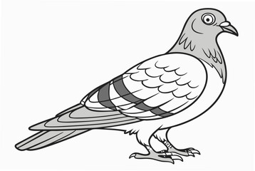 vector illustration of dove