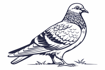 dove of peace