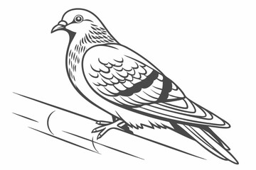 dove of peace