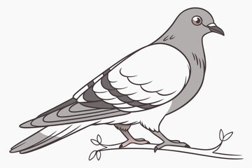 dove of peace