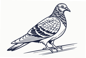dove of peace