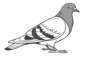 dove of peace