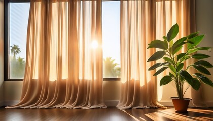 sunlight filters through sheer curtains illuminating a vibrant houseplant near a window creating a warm and peaceful atmosphere