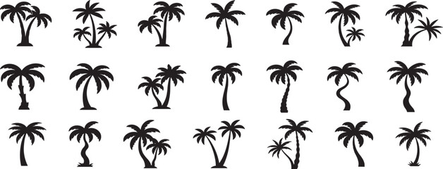 summer palms, tropical hand drawn illustrations, tropical surfing concept, vacation and travel, palm trees and hippie boho elements