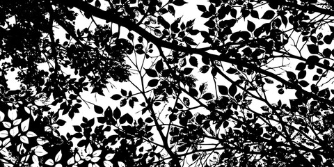 Black and White Silhouette of Lush Foliage and Branches