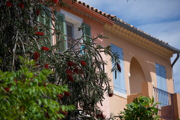 Fototapeta premium Maisons colorées, palmiers et vacances