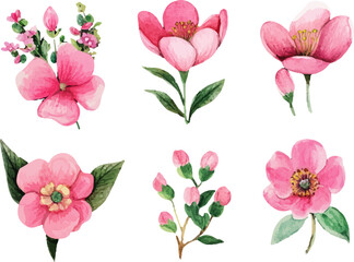 set of pink flowers