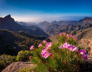 Fototapeta premium pink flowers growing in the mountains of gran canaria canary islands spain
