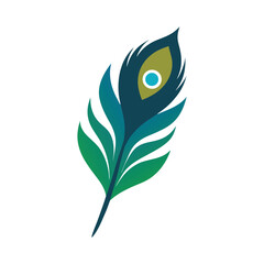 A colorful peacock plume vector art illustration
