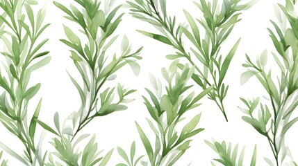 Fototapeta premium Elegant Seamless Pattern with Green Rosemary Branches on White Background for Designs