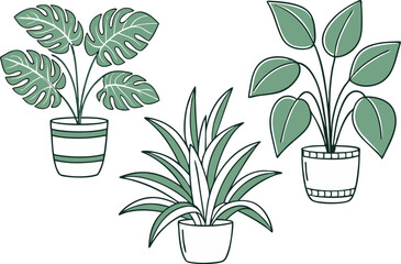 Three potted plants illustration in minimalist style