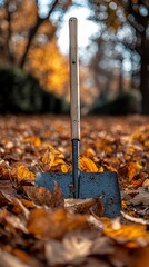 Autumn leaves shovel park cleanup fall
