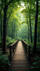 Fototapeta premium Wooden Bridge in a Mysterious Forest