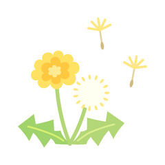 タンポポと綿毛のイラスト
