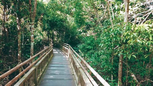 Iguazu Falls trail from the Argentinian side.