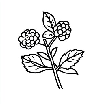 recommend clip art: Line art drawing of blackberry branch with leaves and berries.