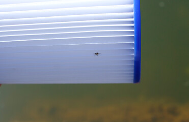 The Part of the Replacement Pool Filter Cartridge Close-up on the Water Backdrop. Insect is on the...