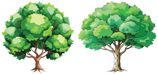 Hand-Drawn Watercolor Tree Illustration on White Background