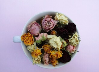 Colorful dry roses in white cup on pink background